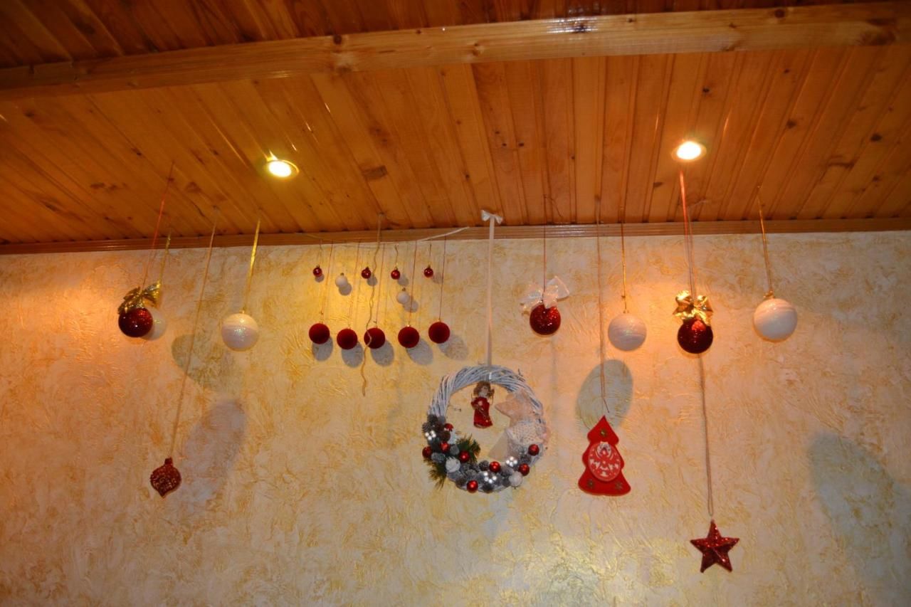 Гостевой дом Faina House Яремче-34