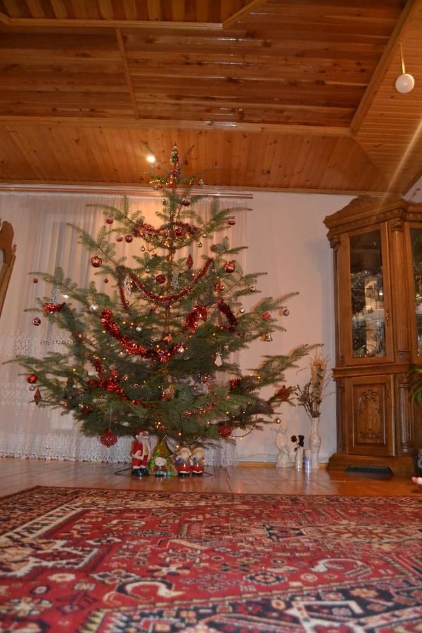 Гостевой дом Faina House Яремче-35