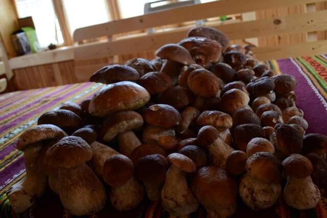 Гостевой дом Faina House Яремче-23