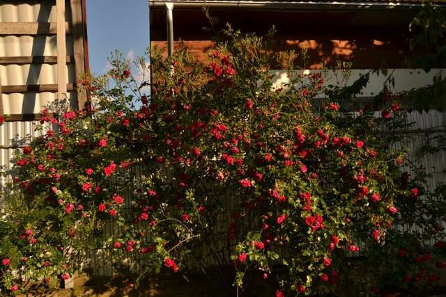 Гостевой дом Faina House Яремче-7